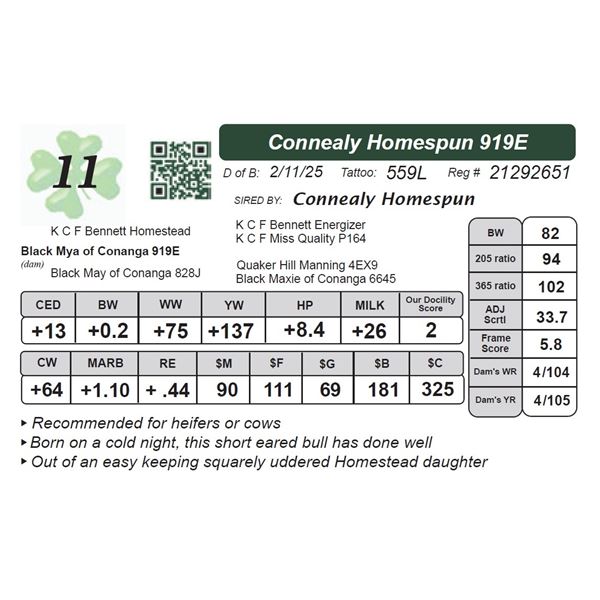 Connealy Homespun 919E