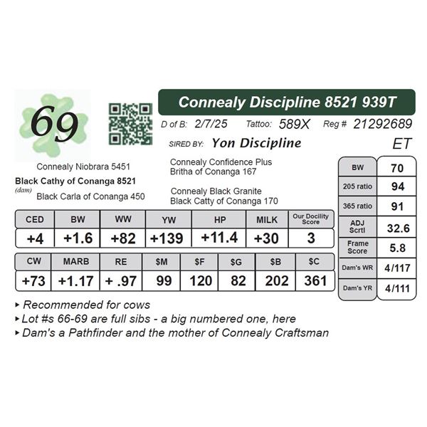 Connealy Discipline 8521939T