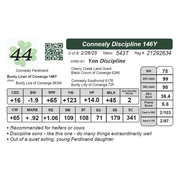 Connealy Discipline 146Y