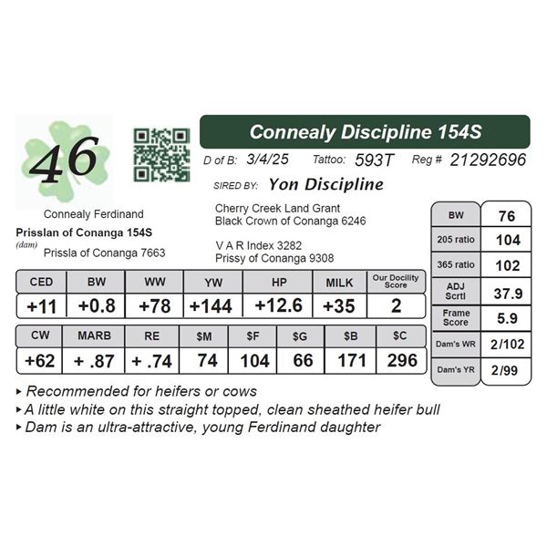 Connealy Discipline 154S