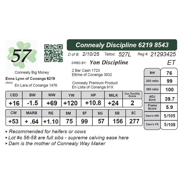 Connealy Discipline 62198543