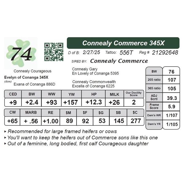 Connealy Commerce 345X