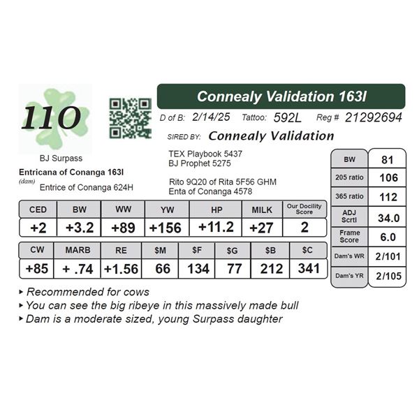 Connealy Validation 163I