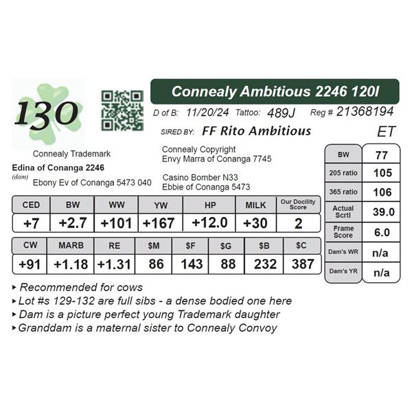 Connealy Ambitious 2246 120I