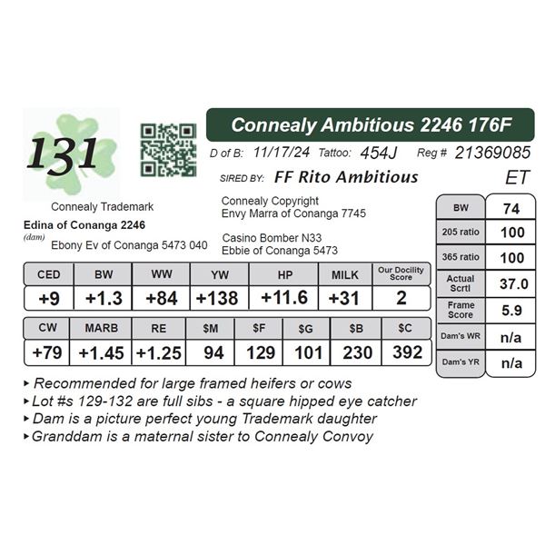 Connealy Ambitious 2246 176F