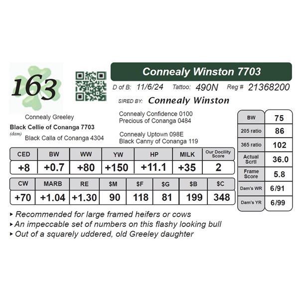 Connealy Winston 7703