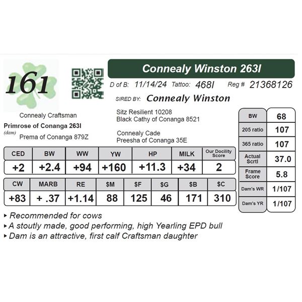 Connealy Winston 263I