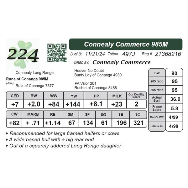 Connealy Commerce 985M