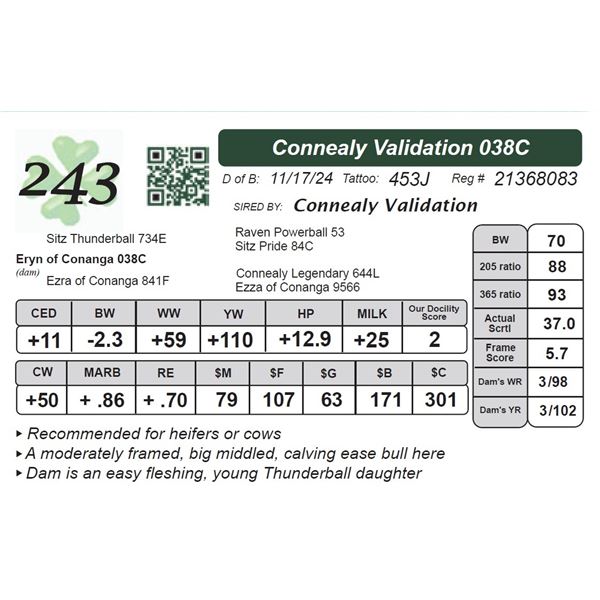 Connealy Validation 038C