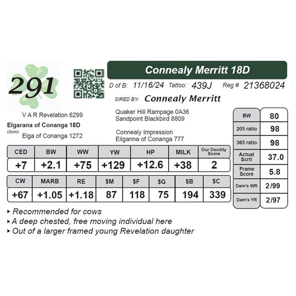Connealy Merritt 18D