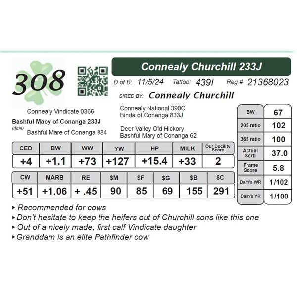 Connealy Churchill 233J