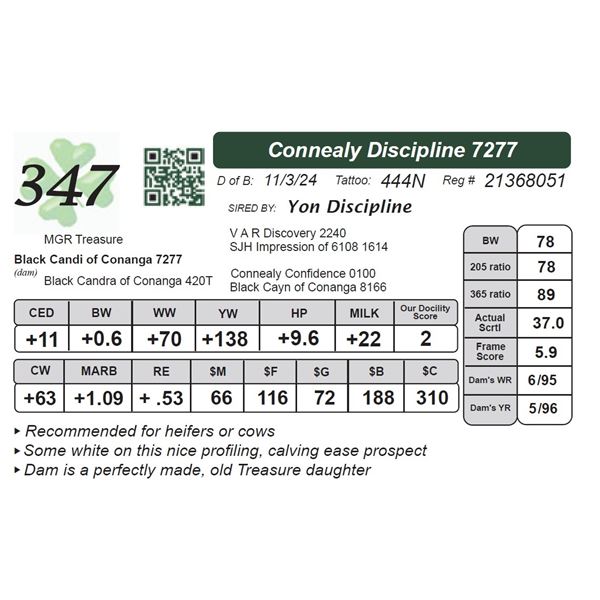 Connealy Discipline 7277