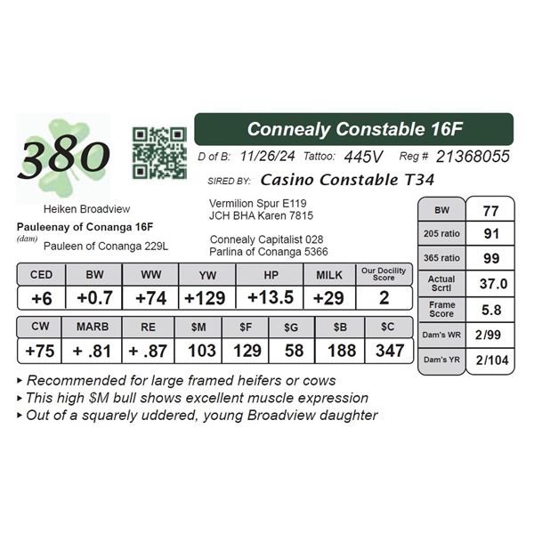 Connealy Constable 16F
