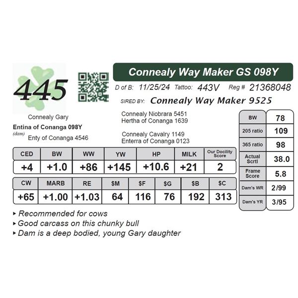 Connealy Way Maker GS 098Y