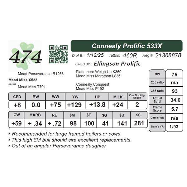 Connealy Prolific 533X