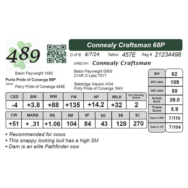 Connealy Craftsman 68P