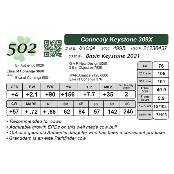 Connealy Keystone 389X