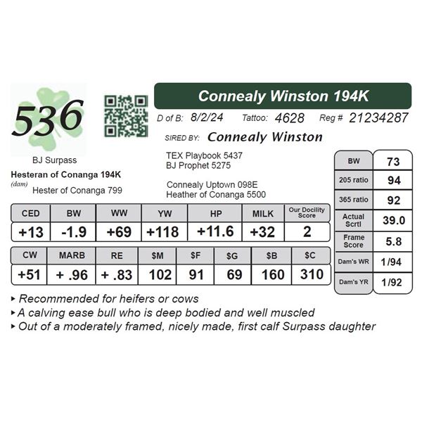 Connealy Winston 194K