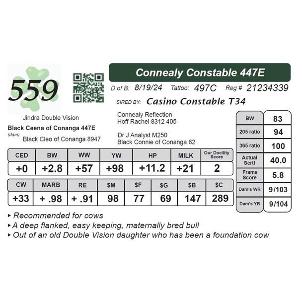 Connealy Constable 447E