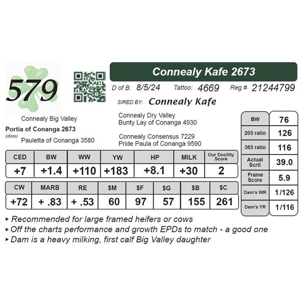 Connealy Kafe 2673