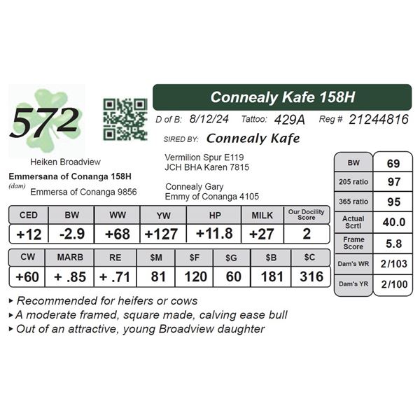 Connealy Kafe 158H