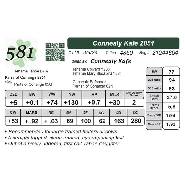 Connealy Kafe 2851