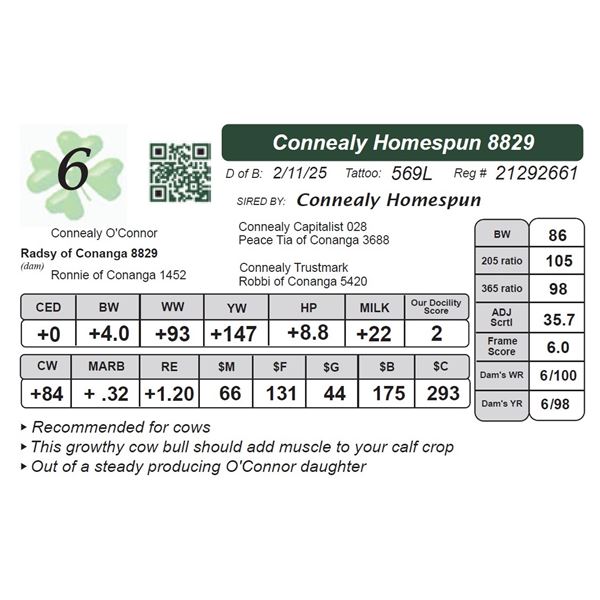 Connealy Homespun 8829