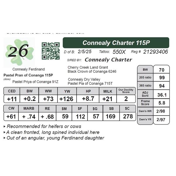 Connealy Charter 115P
