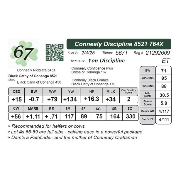 Connealy Discipline 8521764X