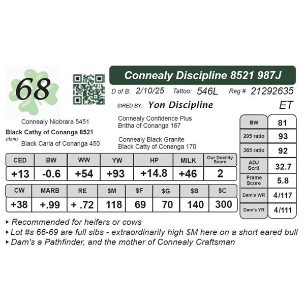 Connealy Discipline 8521987J