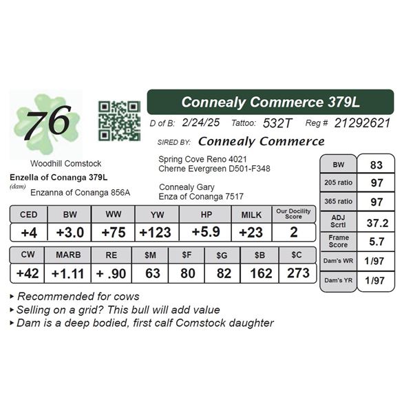 Connealy Commerce 379L