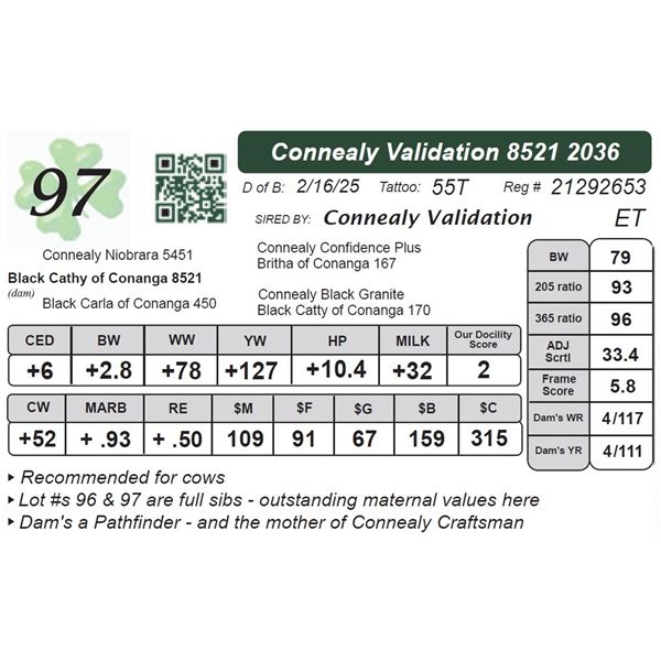 Connealy Validation 85212036