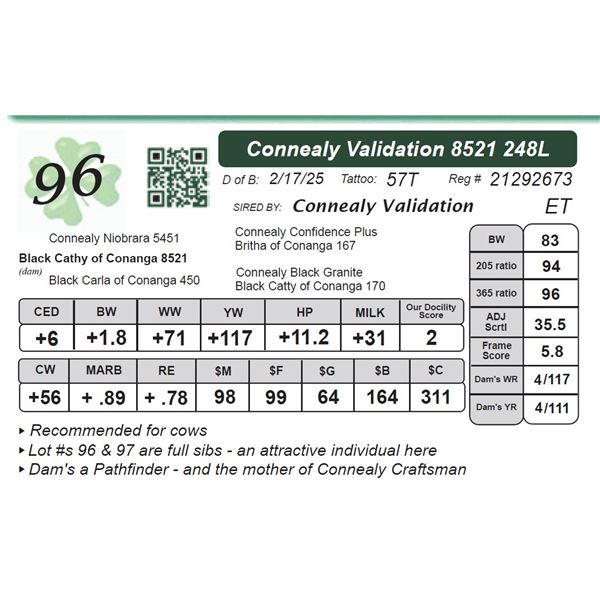 Connealy Validation 8521248L