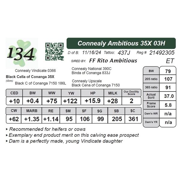 Connealy Ambitious 35X 03H
