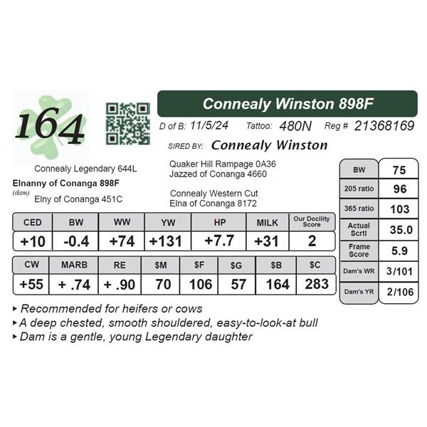 Connealy Winston 898F