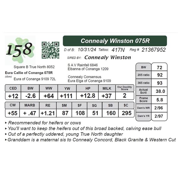 Connealy Winston 075R