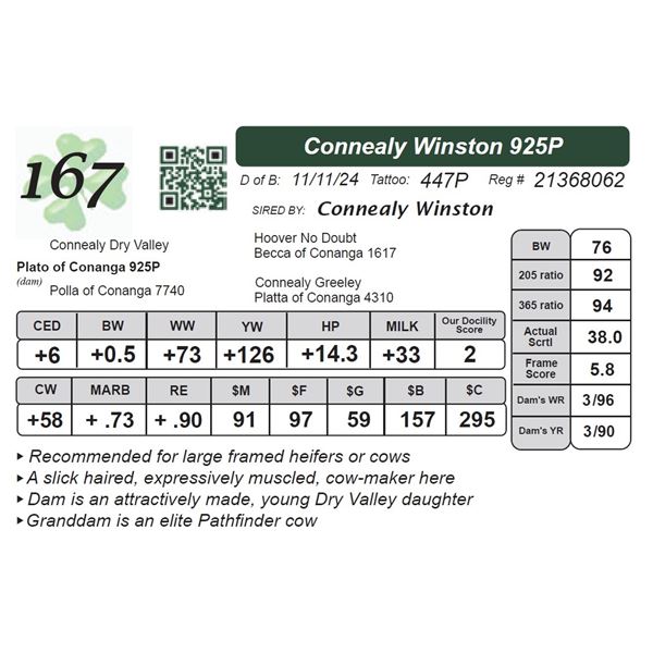 Connealy Winston 925P