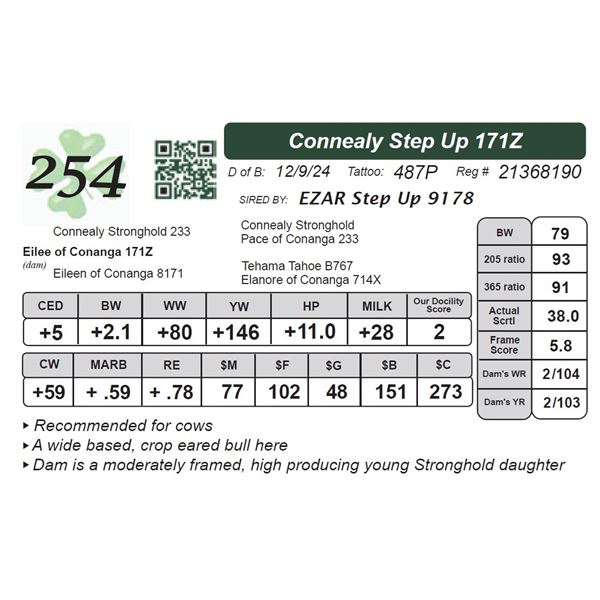 Connealy Step Up 171Z