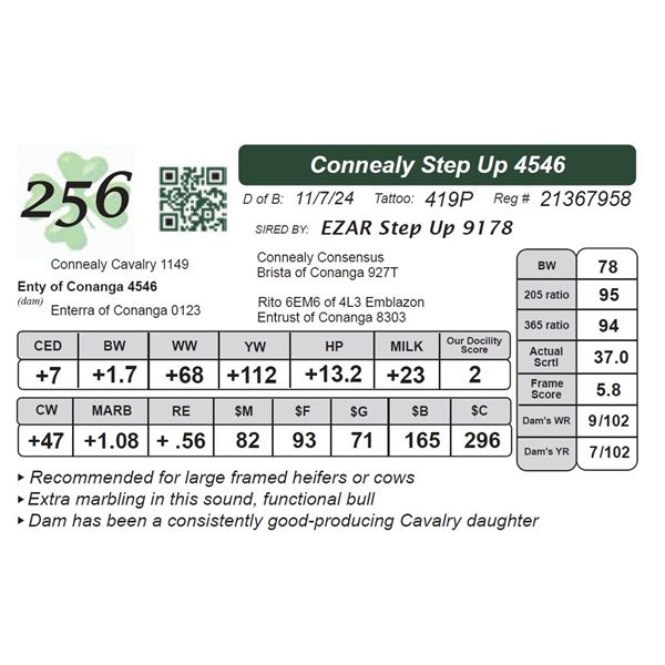 Connealy Step Up 4546