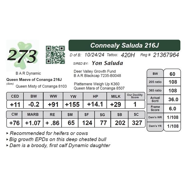 Connealy Saluda 216J