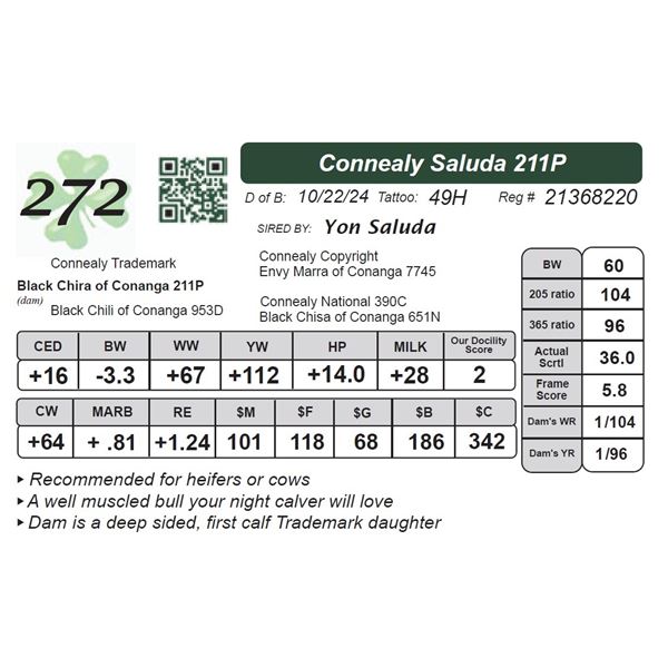 Connealy Saluda 211P