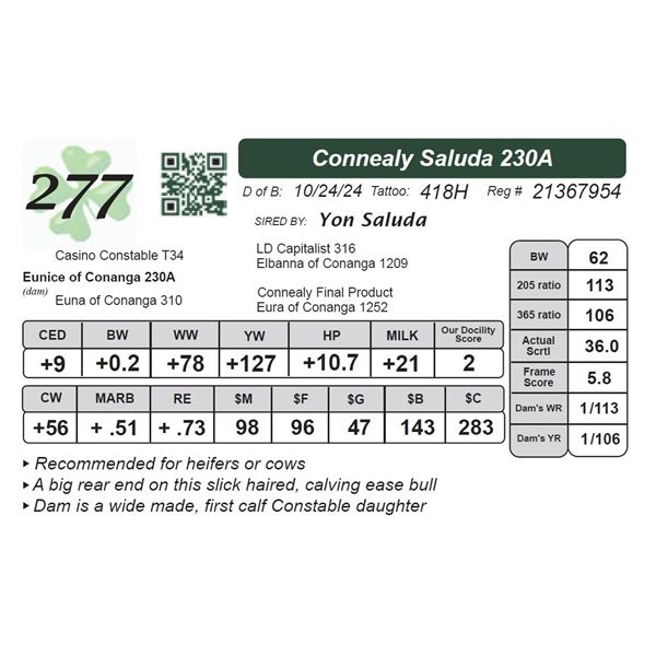 Connealy Saluda 230A