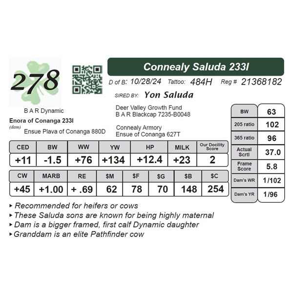 Connealy Saluda 233I
