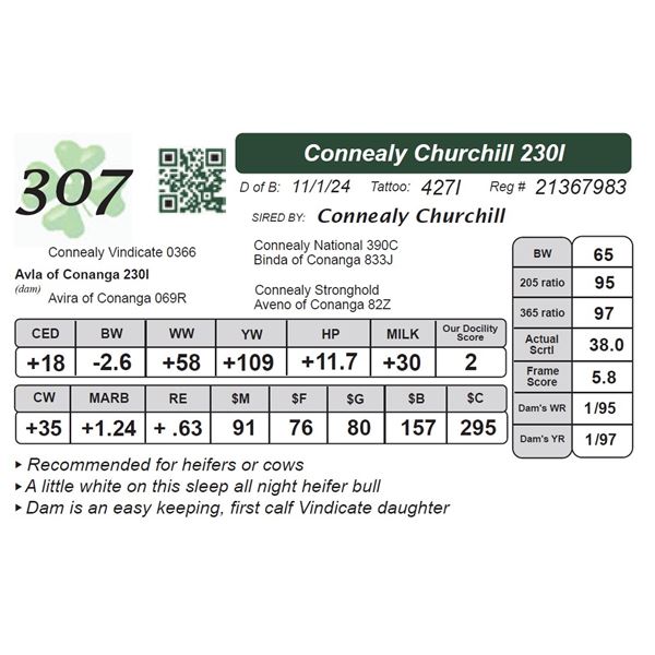 Connealy Churchill 230I