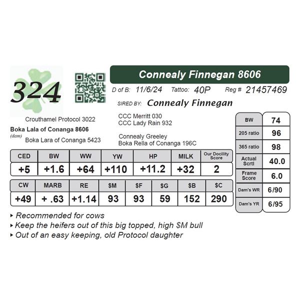 Connealy Finnegan 8606