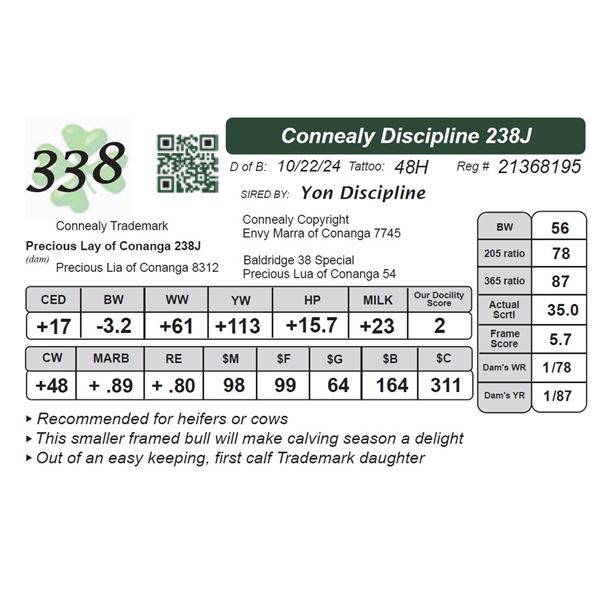 Connealy Discipline 238J