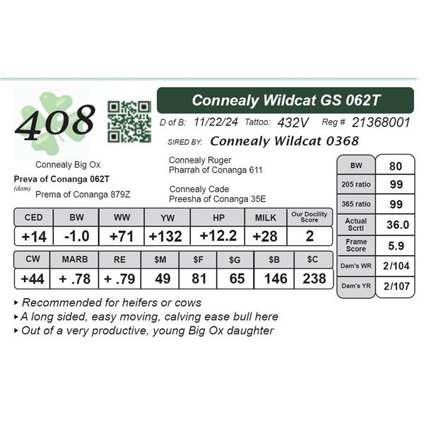 Connealy Wildcat GS 062T