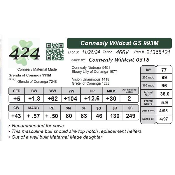 Connealy Wildcat GS 993M
