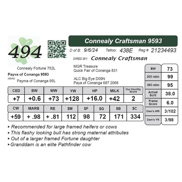 Connealy Craftsman 9593