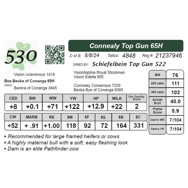 Connealy Top Gun 65H